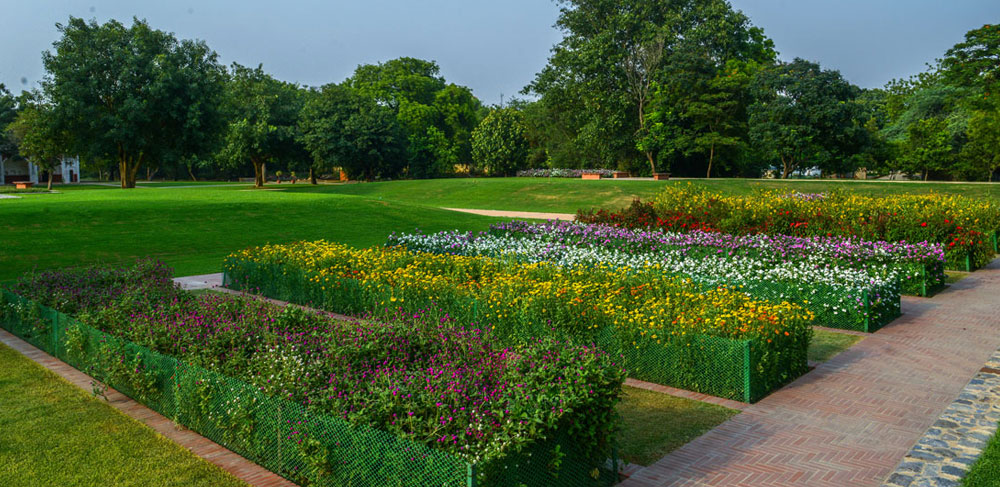 Flowers @ Sundar Nursery 2009-12